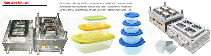 16oz Thin Wall Food Container Mould Manufacturers China - Taizhou